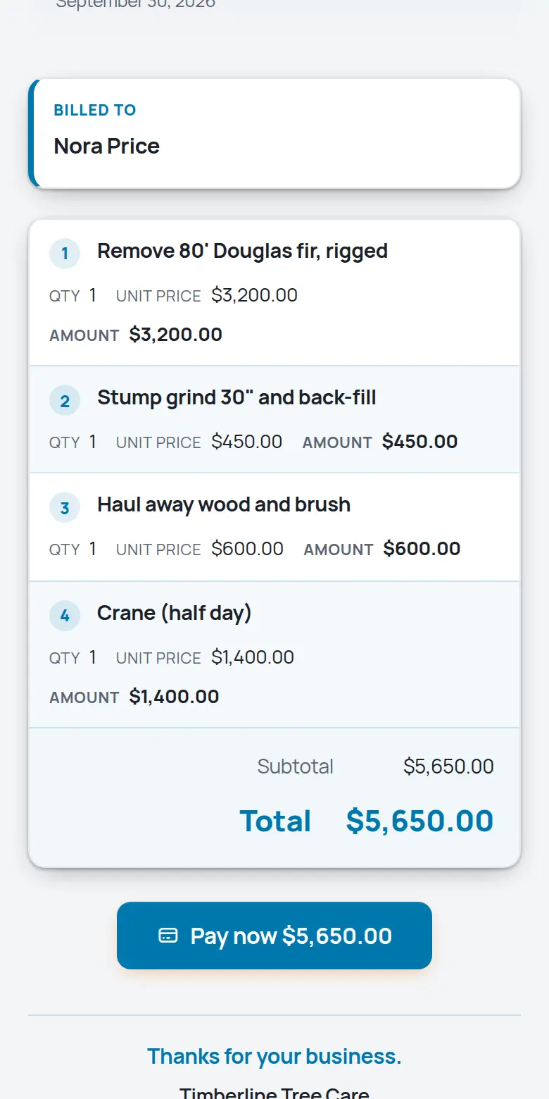 A TrackOver invoice on a phone with the Pay now button